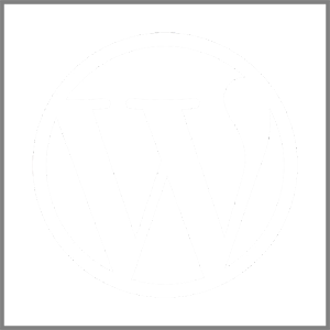 Wordpress Webseiten